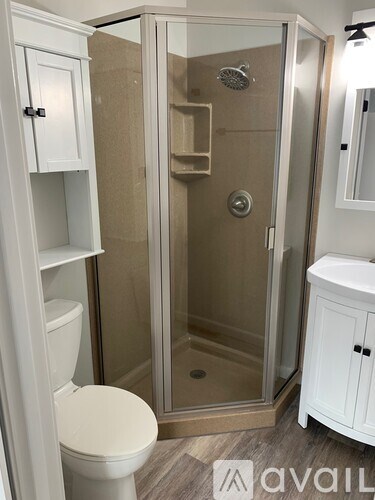 A bathroom with a toilet, a walk-in shower, and a white cabinet.