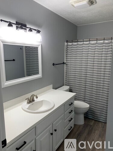 A bathroom with a sink, toilet, and shower curtain.