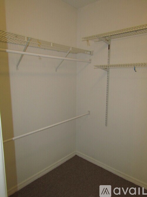 A white closet with a carpeted floor and two shelves.
