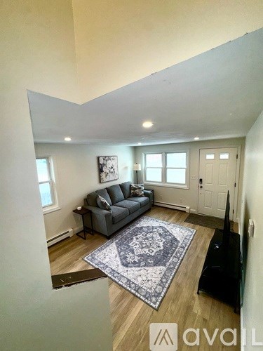 A living room with a grey couch and a rug.