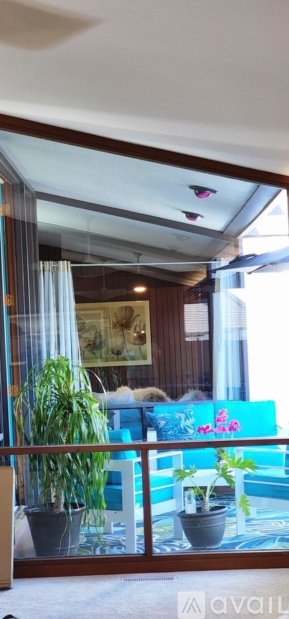 A living room with a couch and a potted plant.