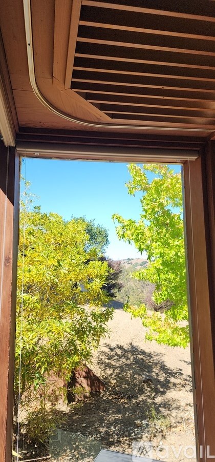 A view from inside a room looking out through a window at a tree.