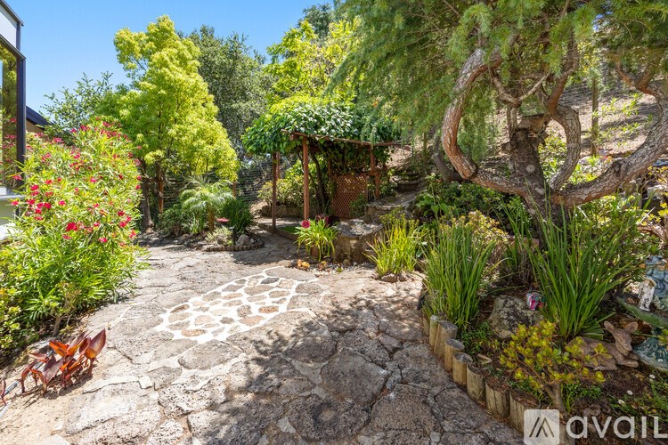 A garden with a stone path and a variety of plants.