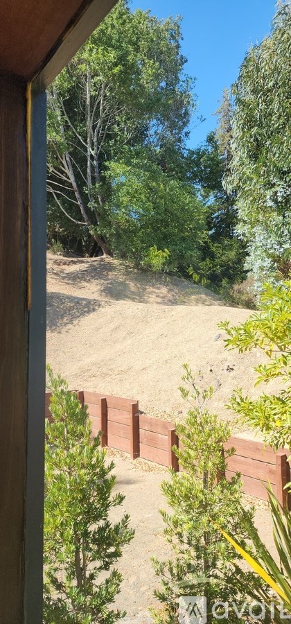 A view from a window looking out to a sandy area with trees and a wooden fence.