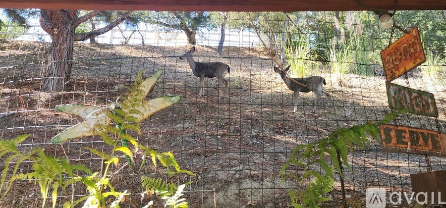 A sign with the word "SERV" is in front of a fence with two deer behind it.