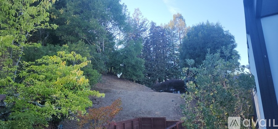 A backyard with a wooden deck and a dog.