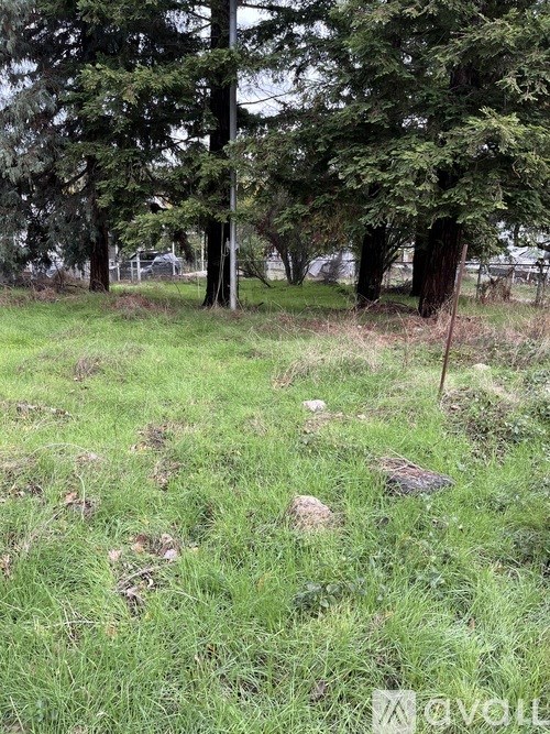 A grassy field with trees in the background.