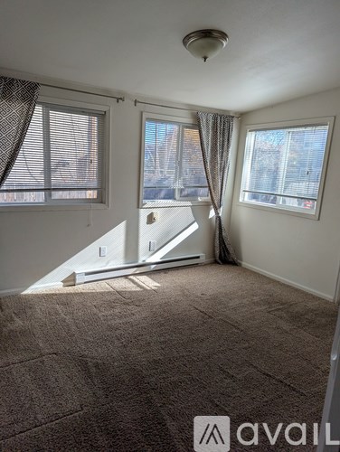 A carpeted room with a window and a ladder.
