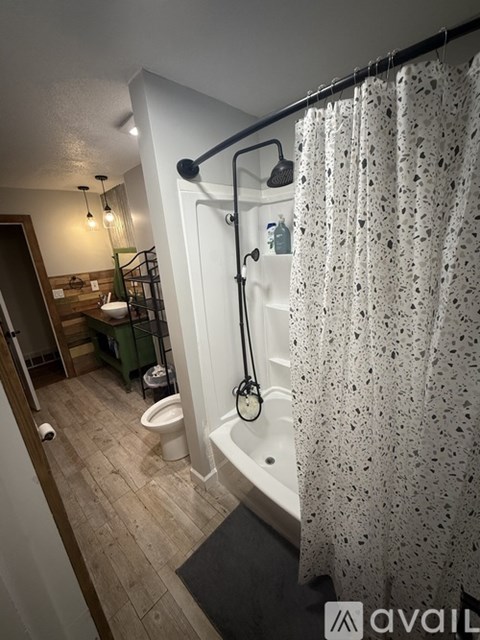 A bathroom with a shower curtain and a toilet.