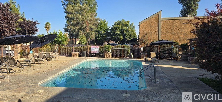 A pool surrounded by a patio and trees.