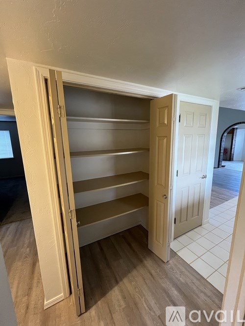 A white door is open to a pantry with shelves.