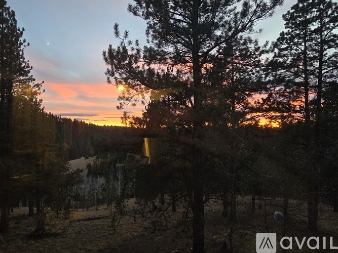 A sunset view with trees and a body of water.