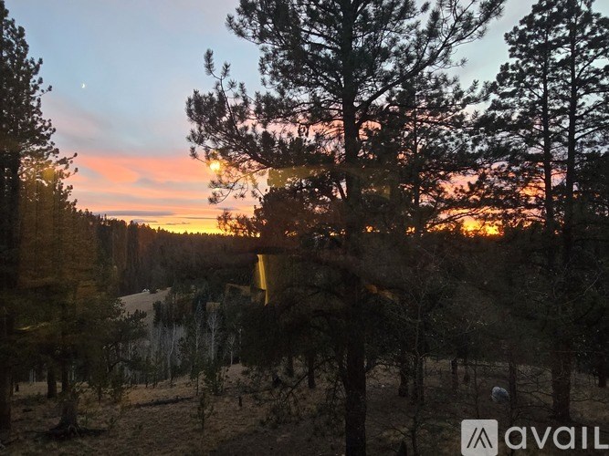 A sunset view with trees and a body of water.