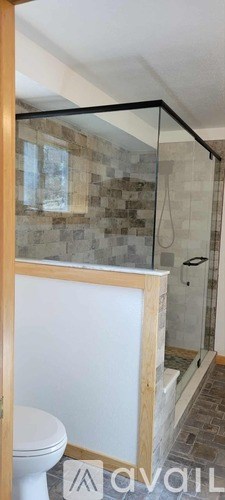 A bathroom with a walk-in shower and a toilet.