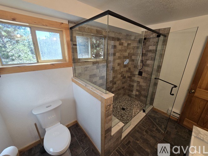 A bathroom with a toilet, a walk-in shower, and a window.