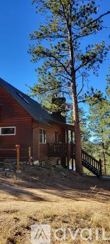A wooden cabin with a porch and a tree in front.