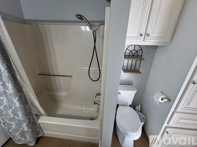 A bathroom with a toilet, a bathtub, and a shower curtain.