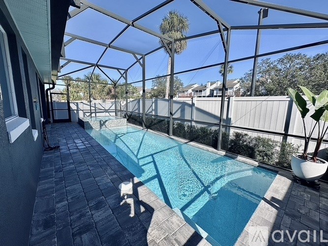 A dog is standing by a pool on a sunny day.