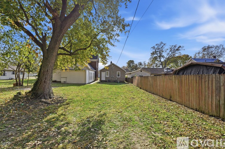 A tree stands in a yard with houses in the background.