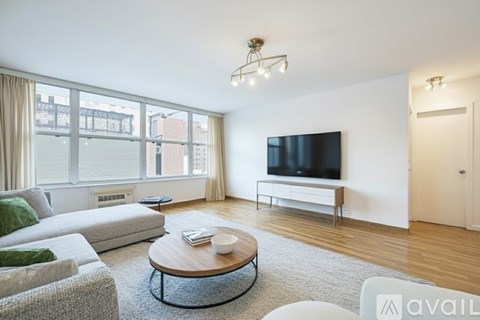 1000 N Lake Shore Dr 1 Bed Apartment for Rent