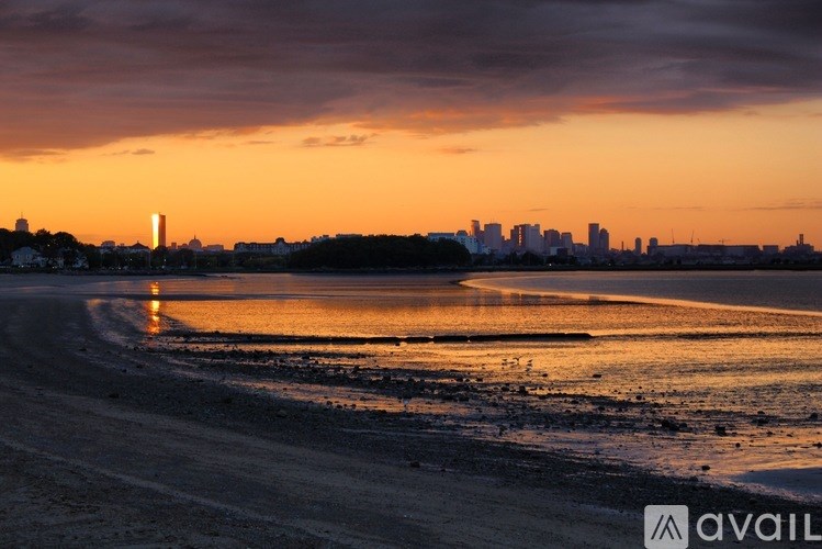 A beach at sunset with a city skyline in the distance.