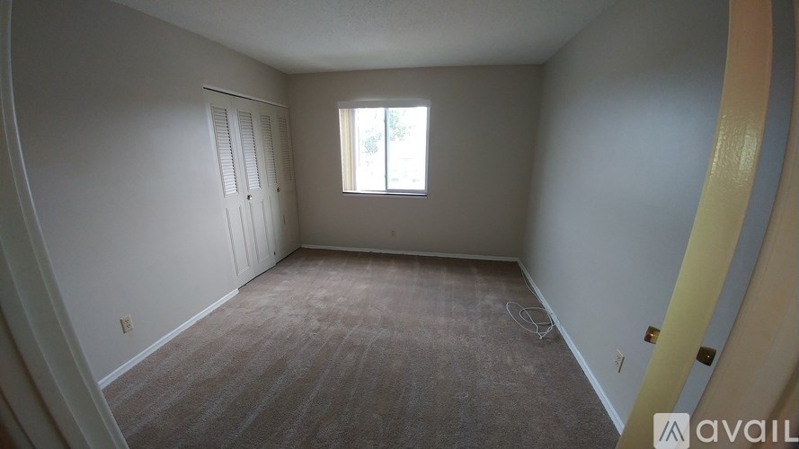 A room with a carpeted floor and a window letting in natural light.