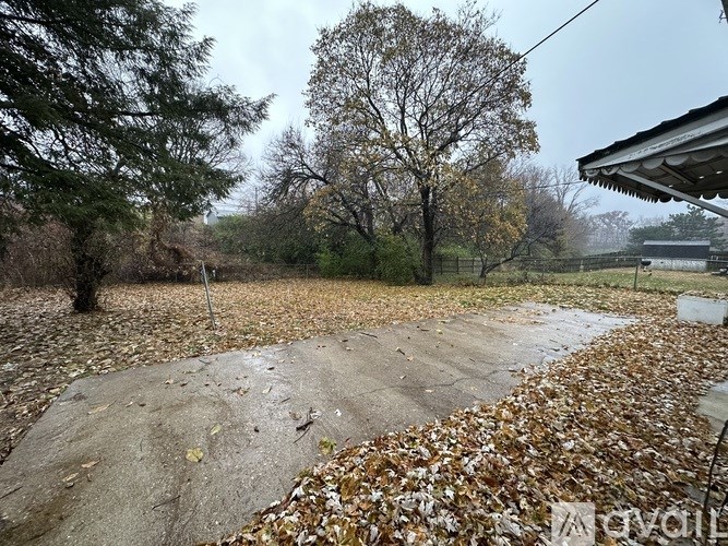 A backyard with a wet ground and fallen leaves.
