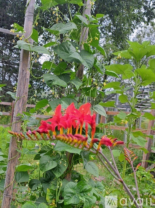 9374 Alango Road 2 Beds Single Family Home for Rent - Photo Gallery 20