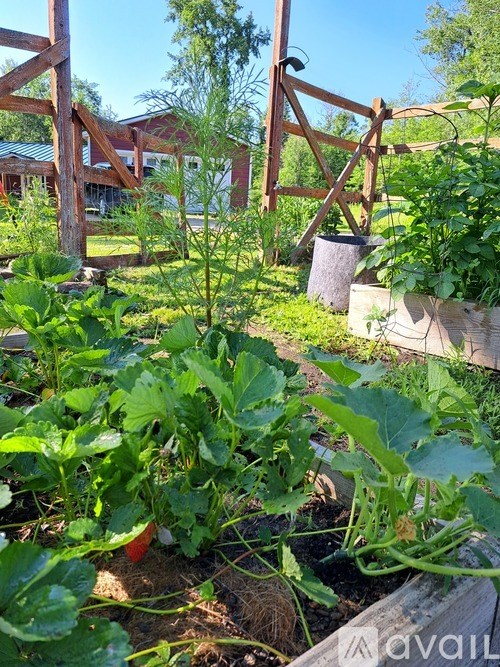 9374 Alango Road 2 Beds Single Family Home for Rent - Photo Gallery 23