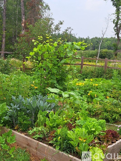 9374 Alango Road 2 Beds Single Family Home for Rent - Photo Gallery 24