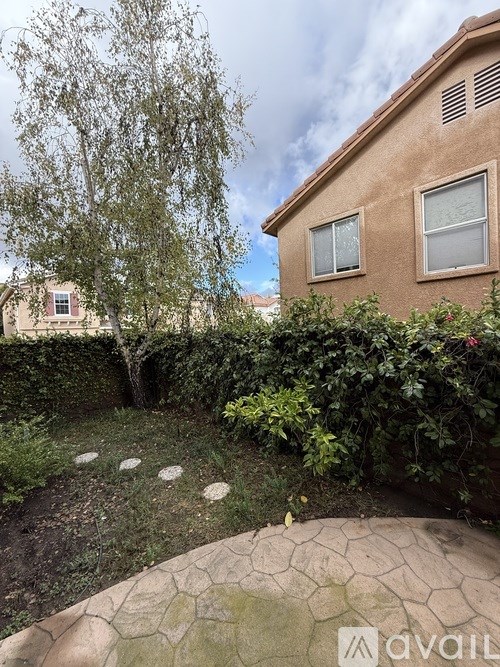 A backyard with a circular patio and a tree.