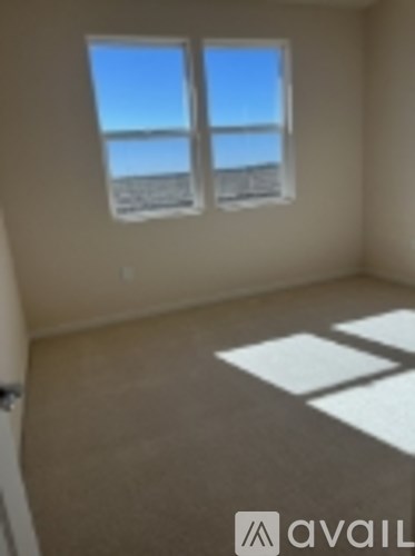 A room with two windows and a carpeted floor.