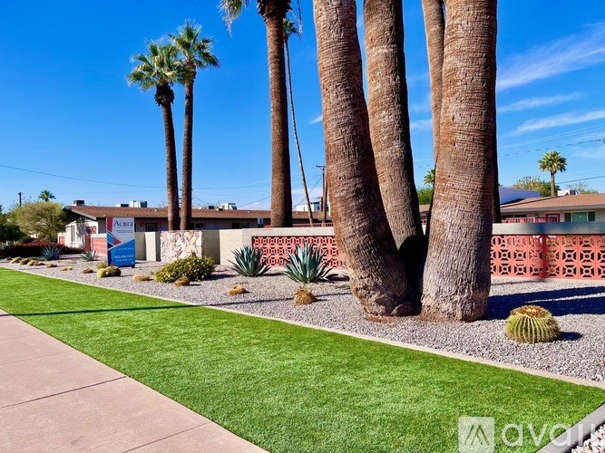 A palm tree is in front of a red building.