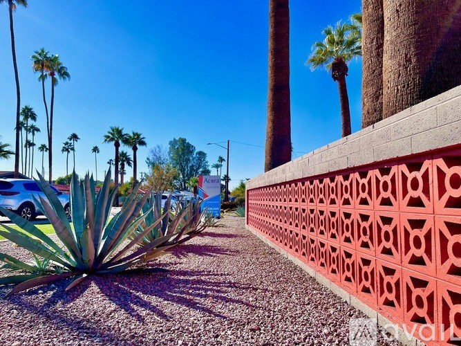 A wall with a red patterned design is on the right side of a path with a palm tree on the left.