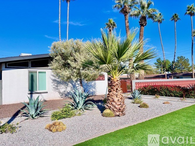 A house with a green door and a palm tree in front.