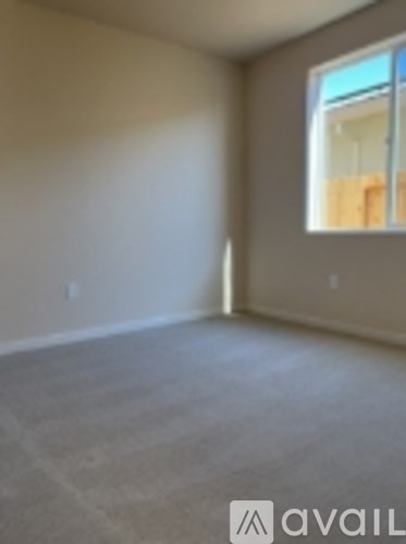 A room with a carpeted floor and a window.