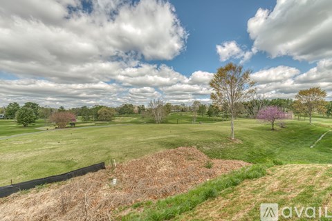 325 Monroe Dr 3 Beds Single Family Home for Rent - Photo Gallery 14