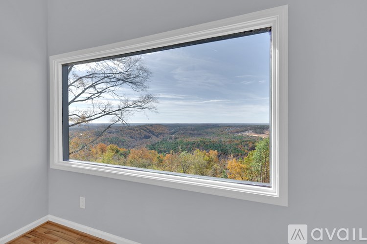 A window with a view of a forest landscape.