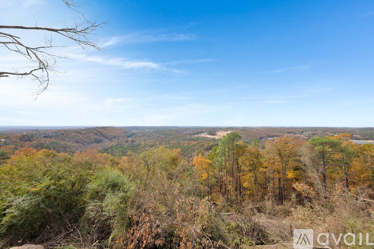 A view of a forest with trees in autumn colors.