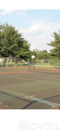 A basketball court with a fence and trees in the background.