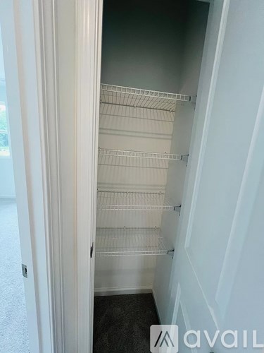 Empty white shelves in a white closet.