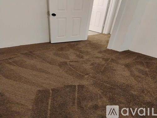 A room with a brown carpet and a white door.
