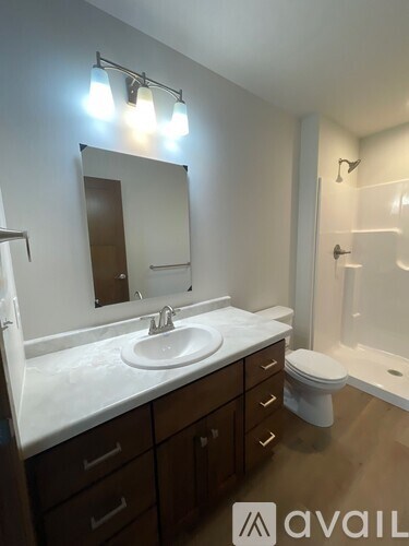 A bathroom with a sink, mirror, and toilet.
