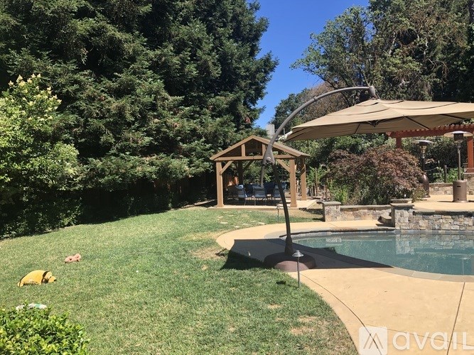 125 Timberline Court 4 Beds Single Family Home for Rent - Photo Gallery 11