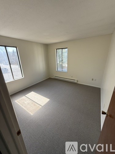 A room with a carpeted floor and two windows.