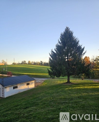 559 Robert Kelly Road 3 Beds Single Family Home for Rent - Photo Gallery 4