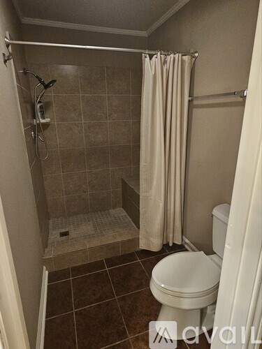 A small bathroom with a toilet, a walk in shower and a white shower curtain.