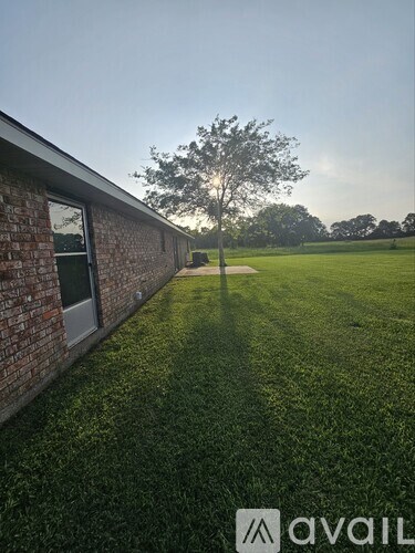 A grassy area with a building and a tree in the distance.
