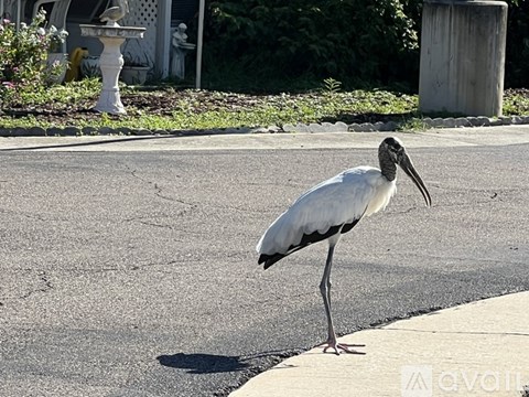 1100 Curlew Rd 2 Beds Apartment for Rent - Photo Gallery 25