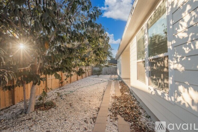 A sunny day with a tree in front of a house.